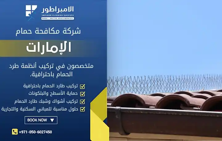 شركة مكافحة الحمام بالامارات