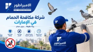 شركة مكافحة الحمام في الإمارات