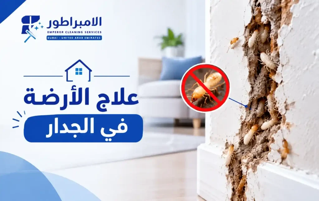 علاج الأرضة في الجدار